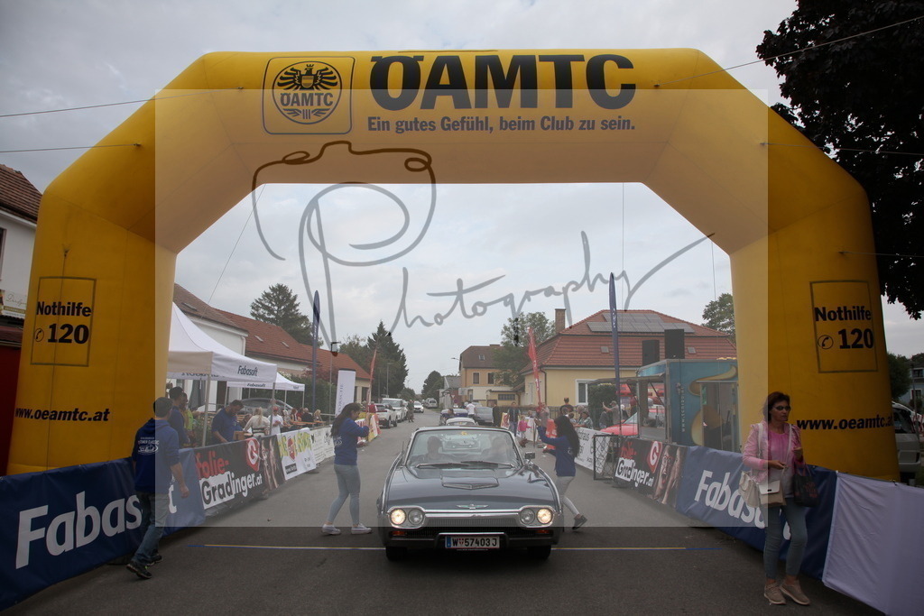 IMG_5986 | Gerhard Witt