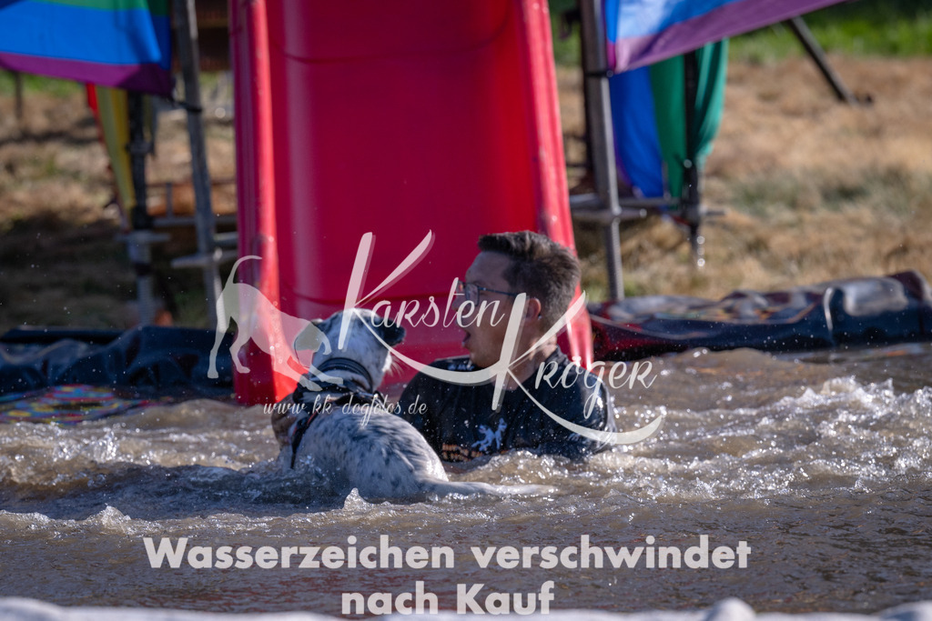 1713_ZZ93935 | kk-dogfotos