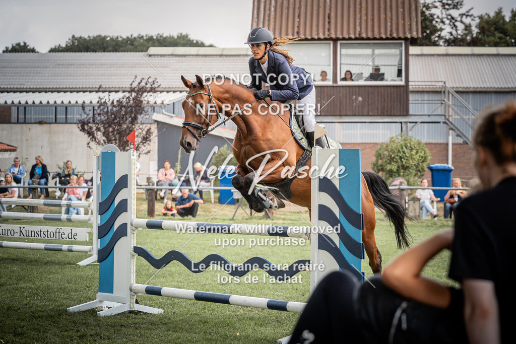 nelerasche_SprA__100Ede_18 | nelerasche