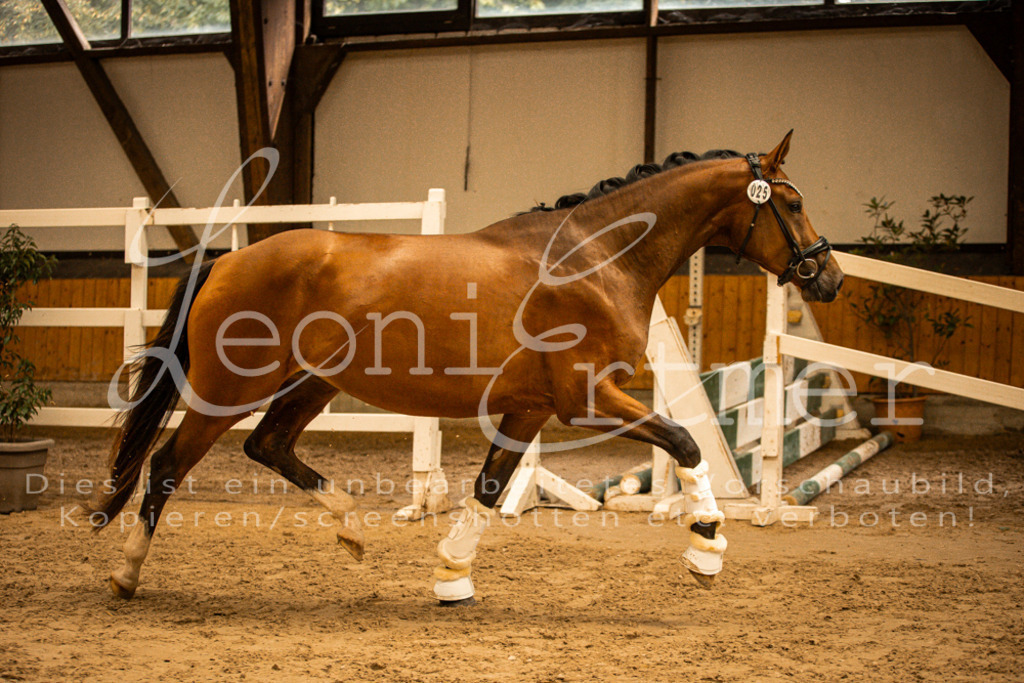 2FS_L00152 | Leoni Ertmer Photography - Realisiert mit Pictrs.com