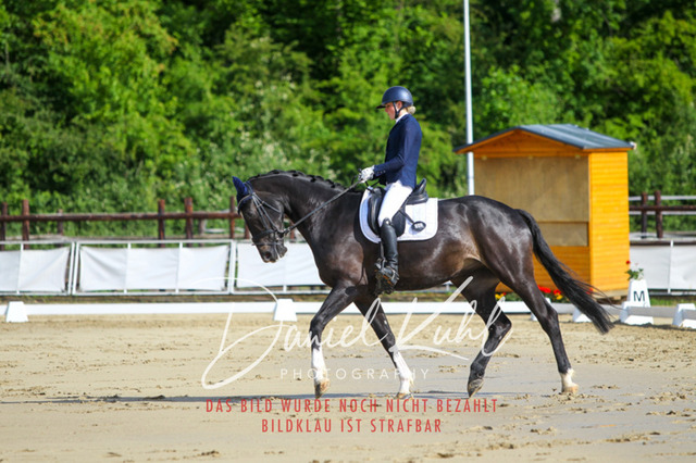 DKP45423 | Turniersportfotografie; Pferdefotografie; Dressurfotografie