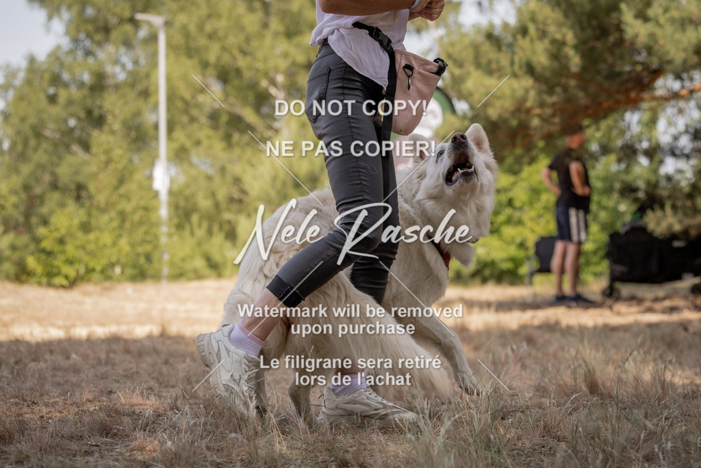 nelerasche_soDD2_181 | nelerasche