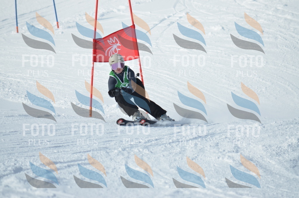 D8922 | holidayphoto