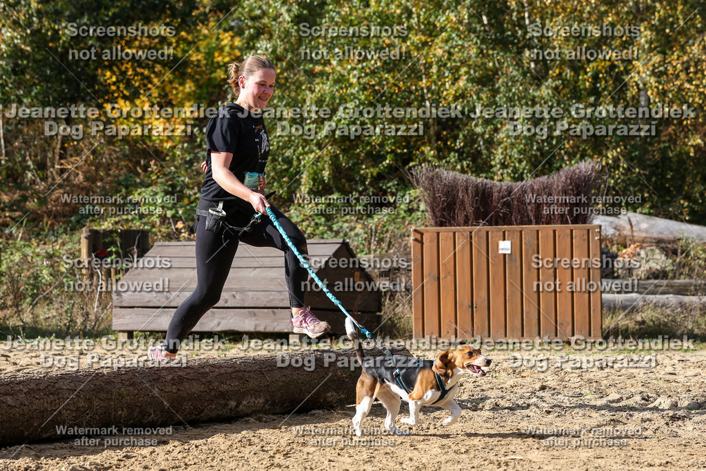 Dog Paparazzi - Strongdog 10-25-5539 | Dog Paparazzi Jeanette Grottendiek Fotografie & Videografie - Realisiert mit Pictrs.com