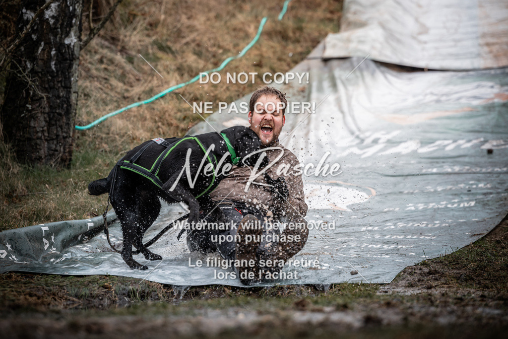 nelerasche_1100-1130_178 | nelerasche
