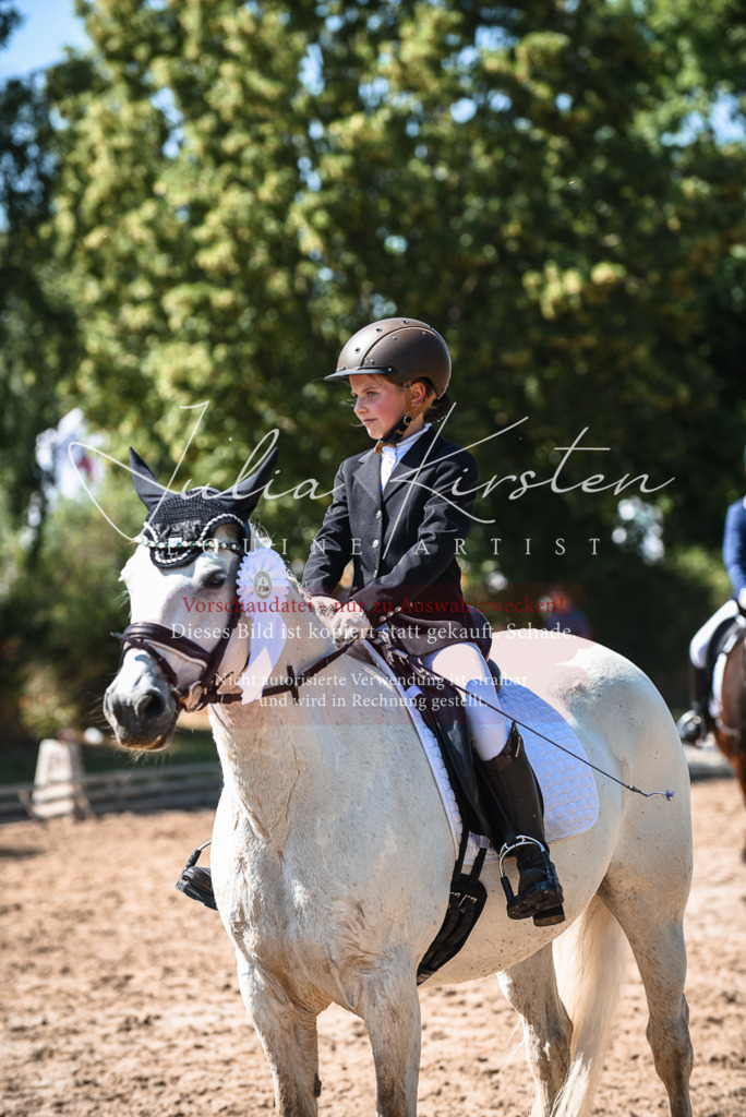 DSC_3664 | Pferde- und Turnierfotografie in Westsachsen. Pferdeportraits, Auftragszeichnungen und intuitive Kunst.