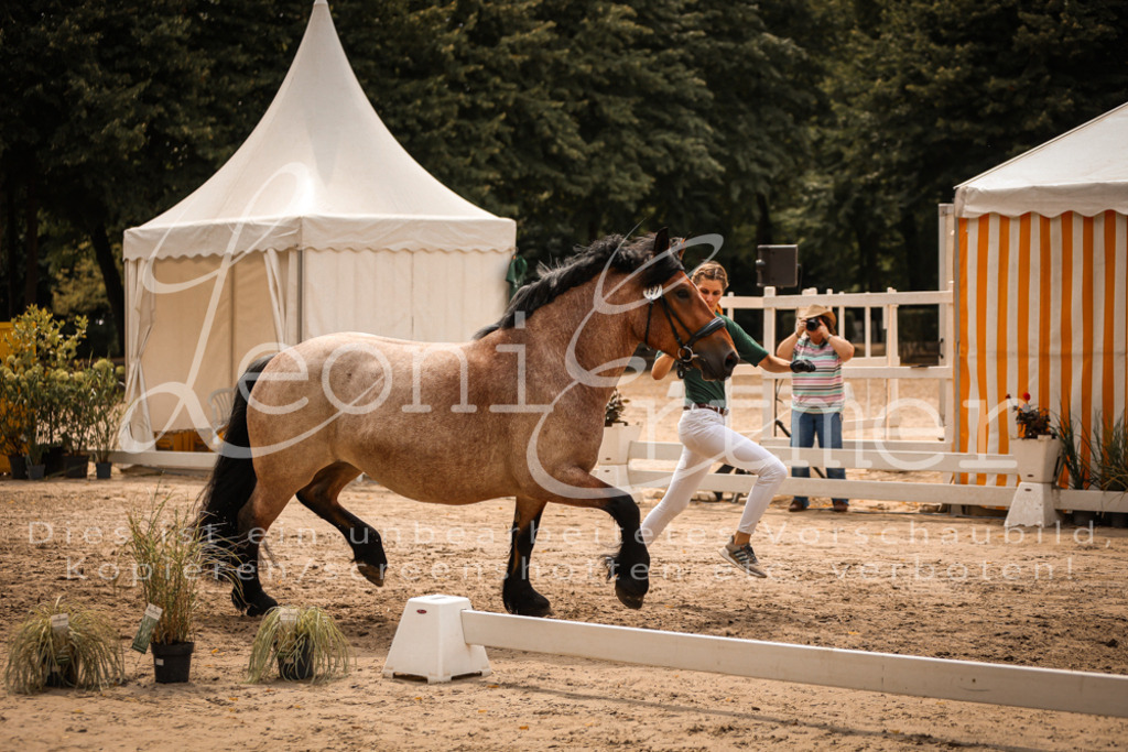 4.Sa00041 | Leoni Ertmer Photography - Realisiert mit Pictrs.com