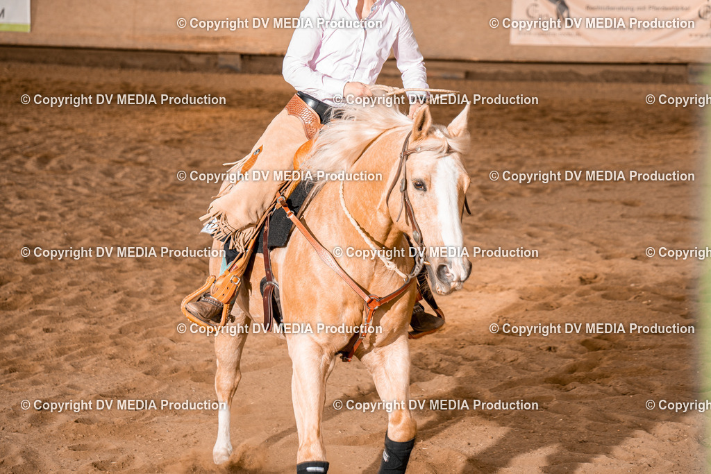 BA400835 | dv-media-shop - Realisiert mit Pictrs.com