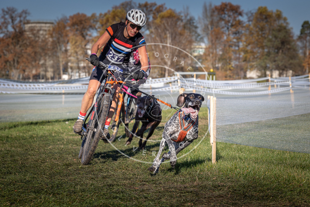 CaniXpix_0L8A4808 | Hundefotografie, Tierfotograf, Pfotenfotografie, Fotoshooting Hund, Hunde Portrait, Hundesport, Hundeportraits, Heideshooting, Hunde, Sportfotograf, Hundefotograf, Turnierhundsport, THS,  - Realisiert mit Pictrs.com