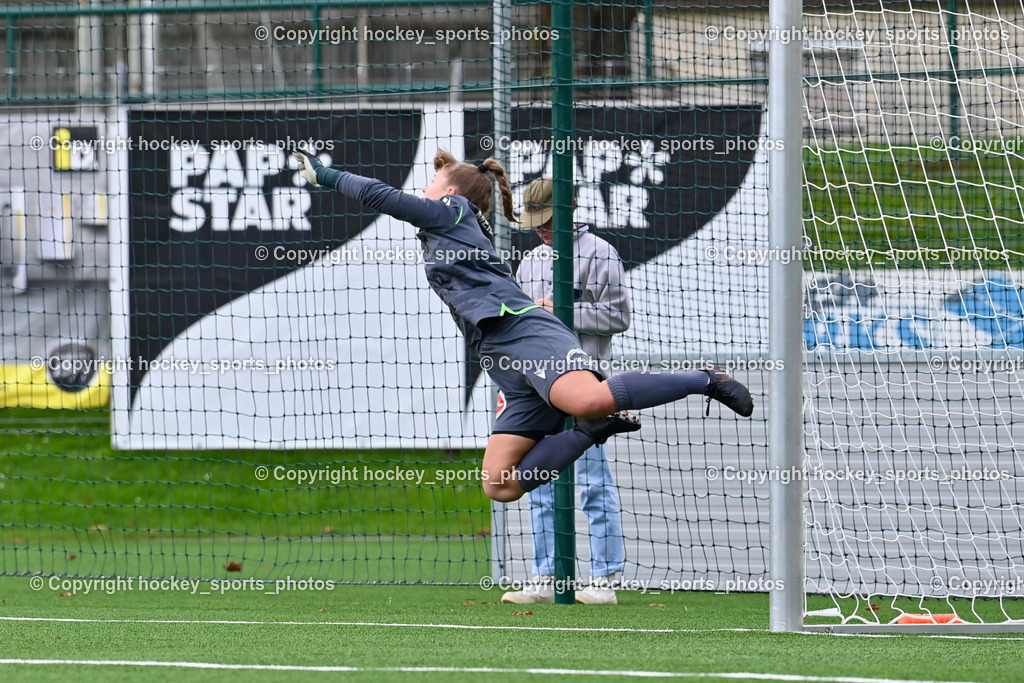 Liwodruck Carinthians Hornets vs. FC Pingau Saalfelden Frauen 29.10.2023  | #1 Anja Meier, Flugeinlage