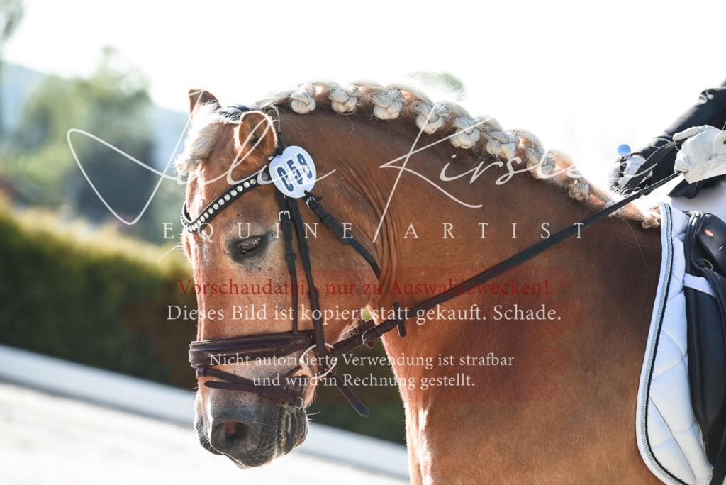 20230518_JK-Röhrsdorf-09-0350 | Pferde- und Turnierfotografie in Westsachsen. Pferdeportraits, Auftragszeichnungen und intuitive Kunst.