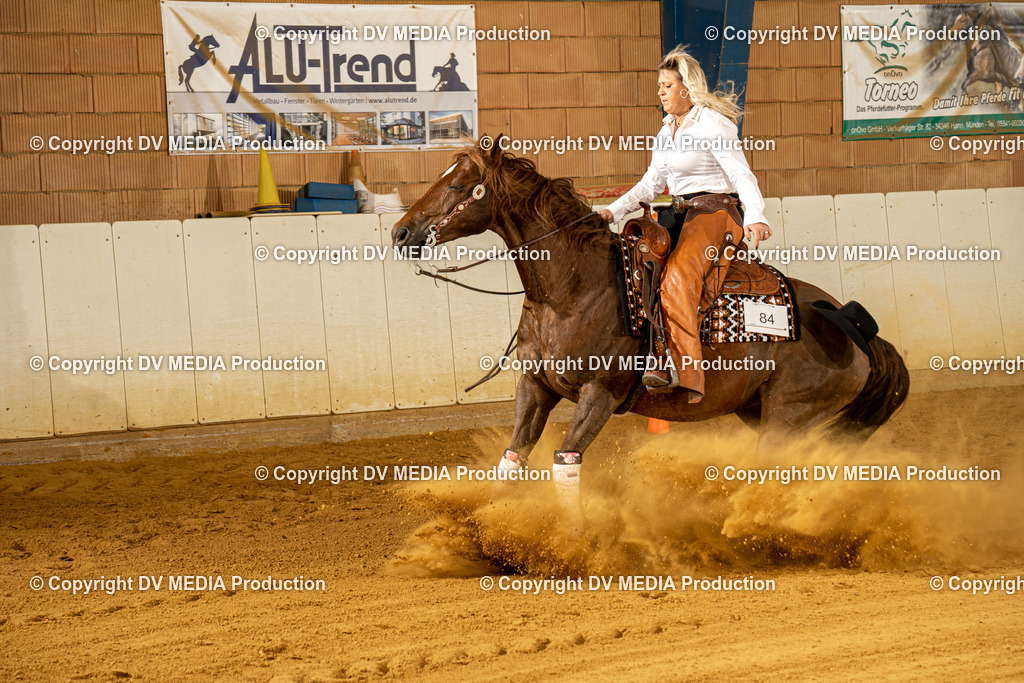 MIT00317 | dv-media-shop - Realisiert mit Pictrs.com