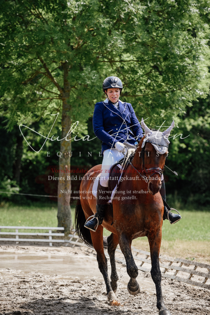 DSC_1178 | Pferde- und Turnierfotografie in Westsachsen. Pferdeportraits, Auftragszeichnungen und intuitive Kunst.