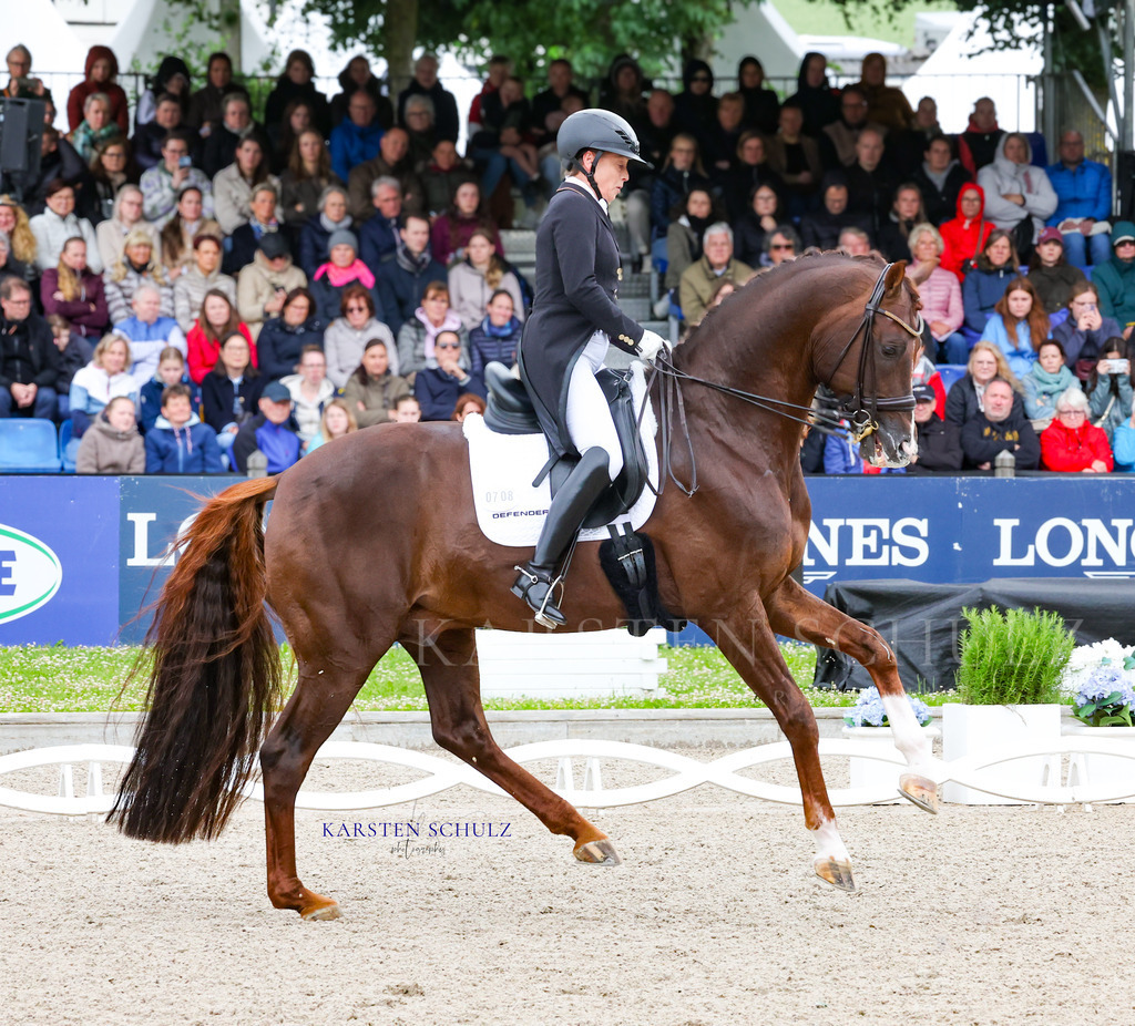 1B3A8383 | Reitsport Reiten