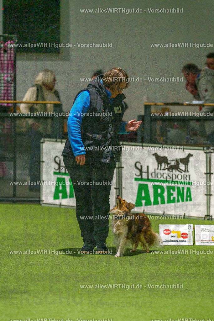 7R509121 | Professionelle Tierfotografie in Mönchengladbach von Daniel Wirth (allesWIRTHgut). Liebevolle & natürliche Bilder von Hunden & Katzen für unvergessliche Erinnerungen.