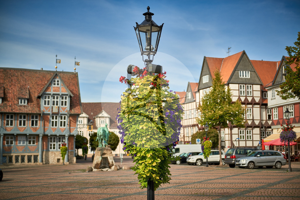 Grünes Wolfenbüttel - Lessingstadt Wolfenbüttel in Niedersachsen, Deutschland | Meurer Shop - Realisiert mit Pictrs.com