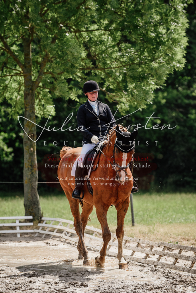DSC_0657 | Pferde- und Turnierfotografie in Westsachsen. Pferdeportraits, Auftragszeichnungen und intuitive Kunst.