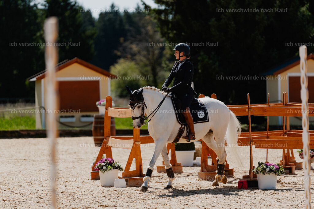 Steffi23_FHC2025-45 | working equitationturnier fotograf videograf stoibphotography marixx film working equitation deutschland reitsport turnierfotografie eventfotografie equestrian events