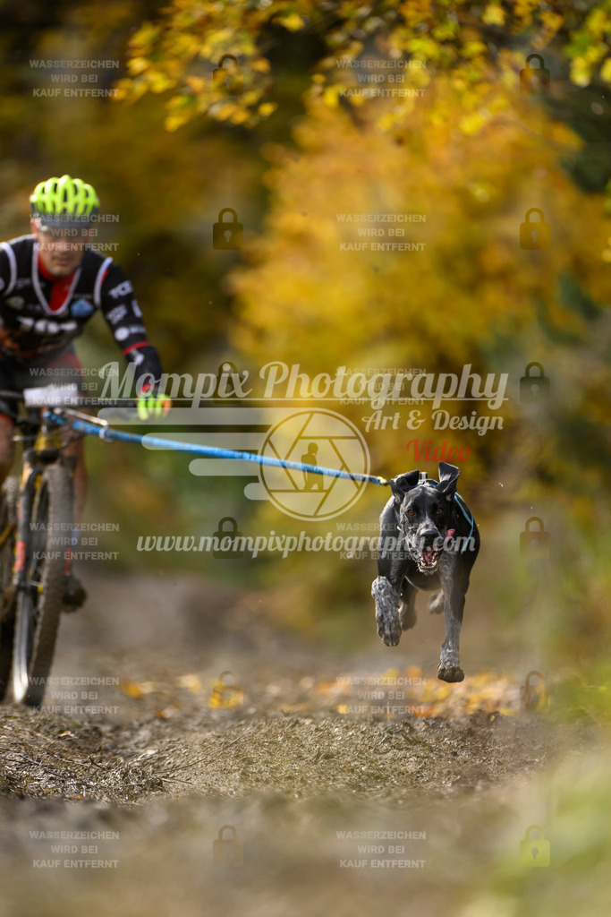 MompixPhotography_ICF_WC_2024_SA_Bike_-286 | PayLife