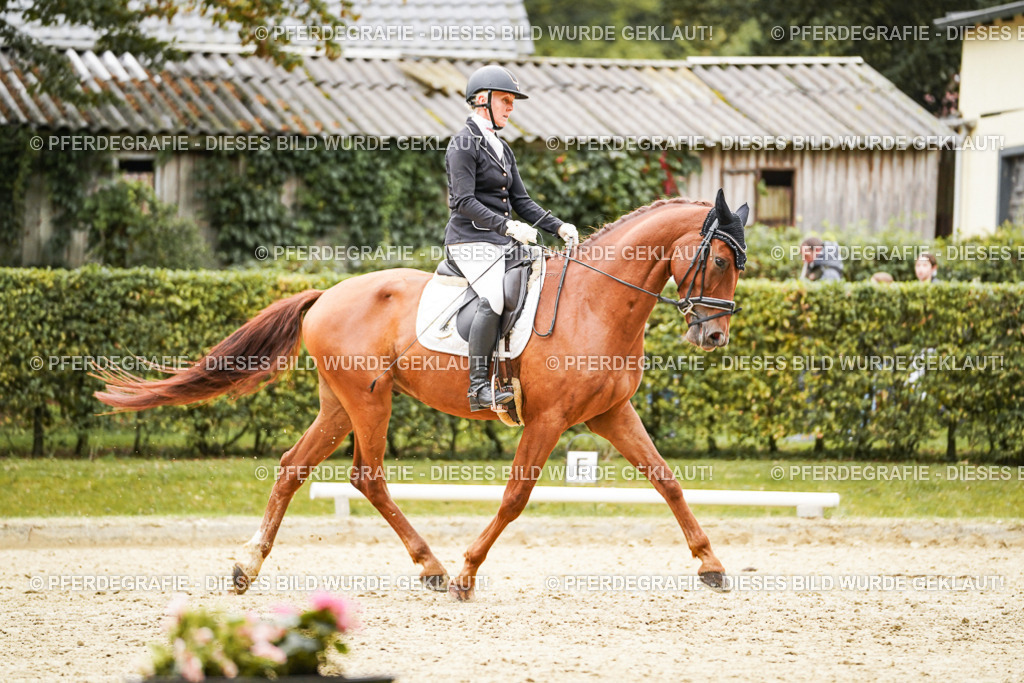 DSC08375 | Pferdegrafie