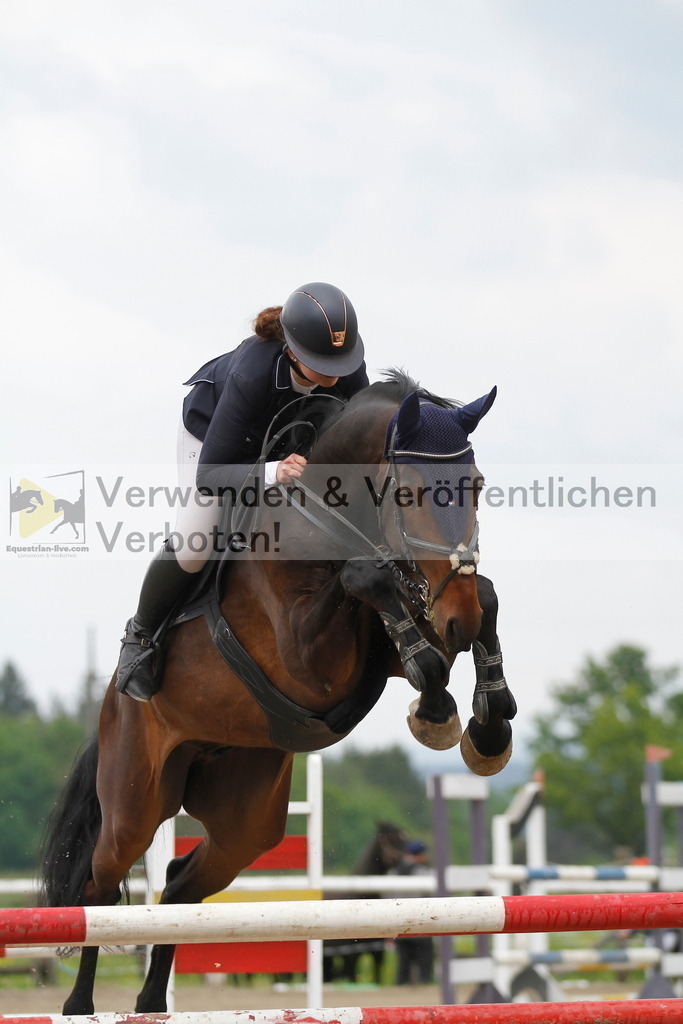 _MG_7866 | equestrian-live-com