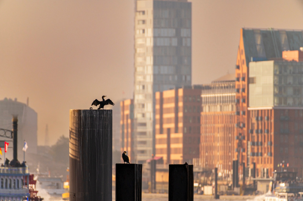 2022_10_31_HAMBURG_MCP5377 | Hochwertig gedruckte Fotografien für die Wand, als Kalender und zum Verschenken. Hamburg & Norddeutschland und überall wo ich mit der Kamera unterwegs war.