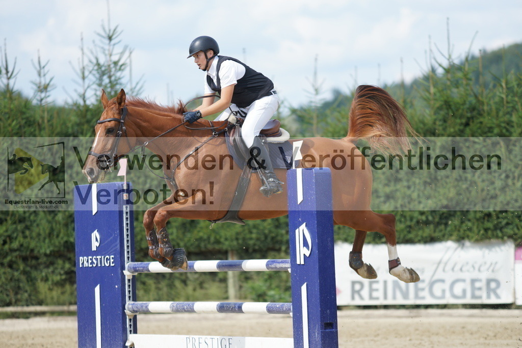 DSC00100 | equestrian-live-com