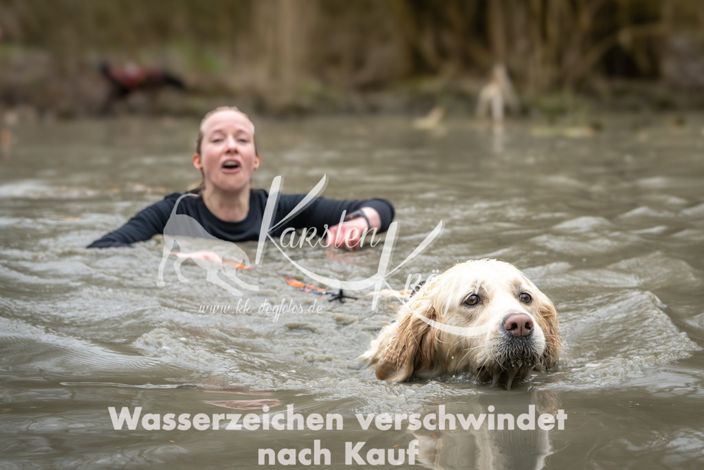 1248_ZZ91314 | kk-dogfotos