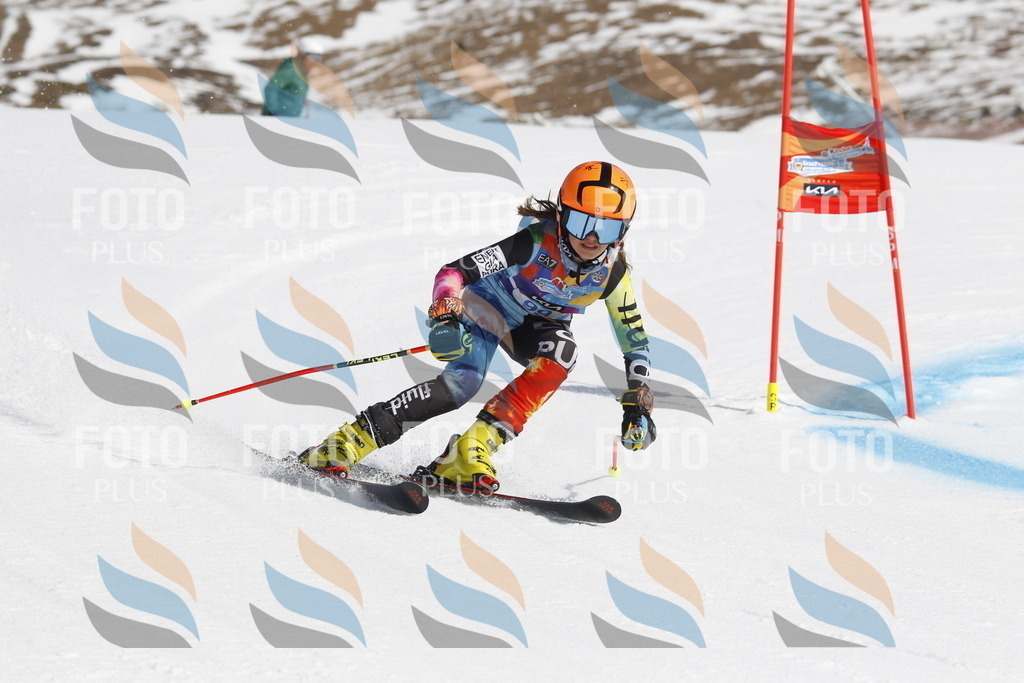 _U3G0299 | holidayphoto