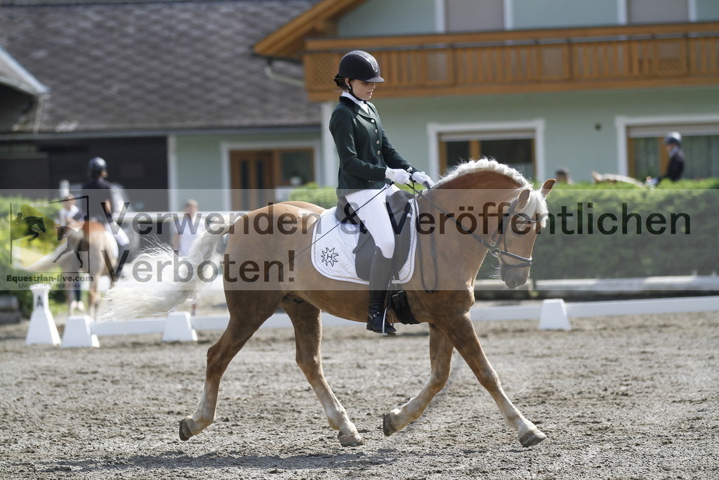 _MG_9559 | equestrian-live-com
