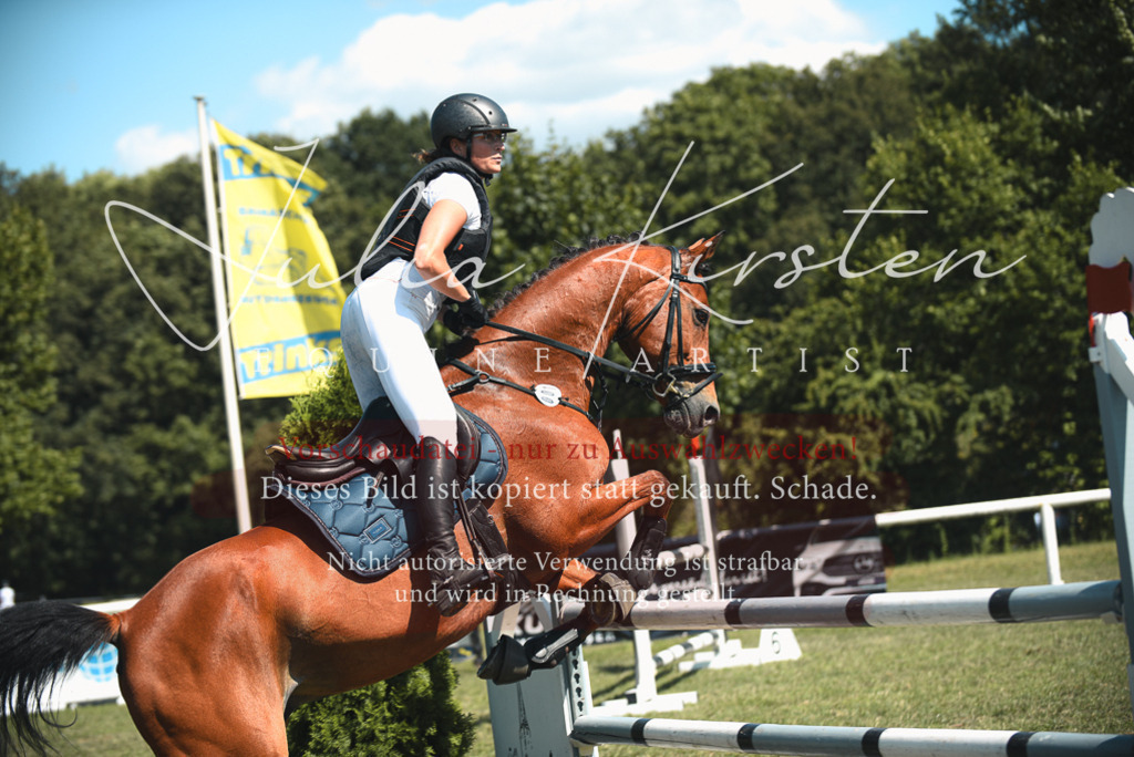 DSC_6954 | Pferde- und Turnierfotografie in Westsachsen. Pferdeportraits, Auftragszeichnungen und intuitive Kunst.