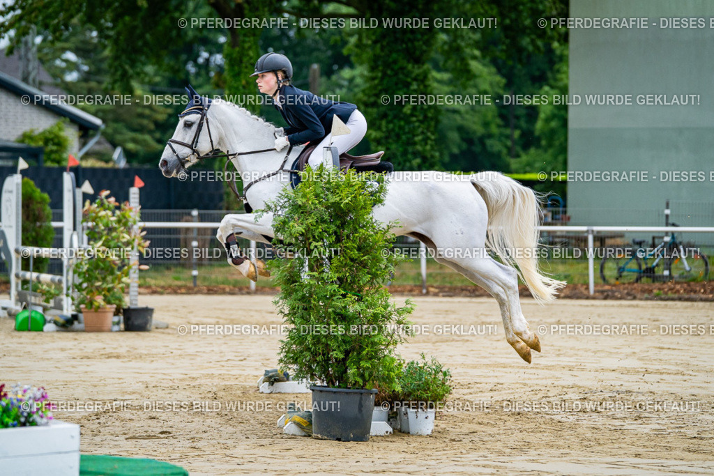 DSC01696 | Pferdegrafie