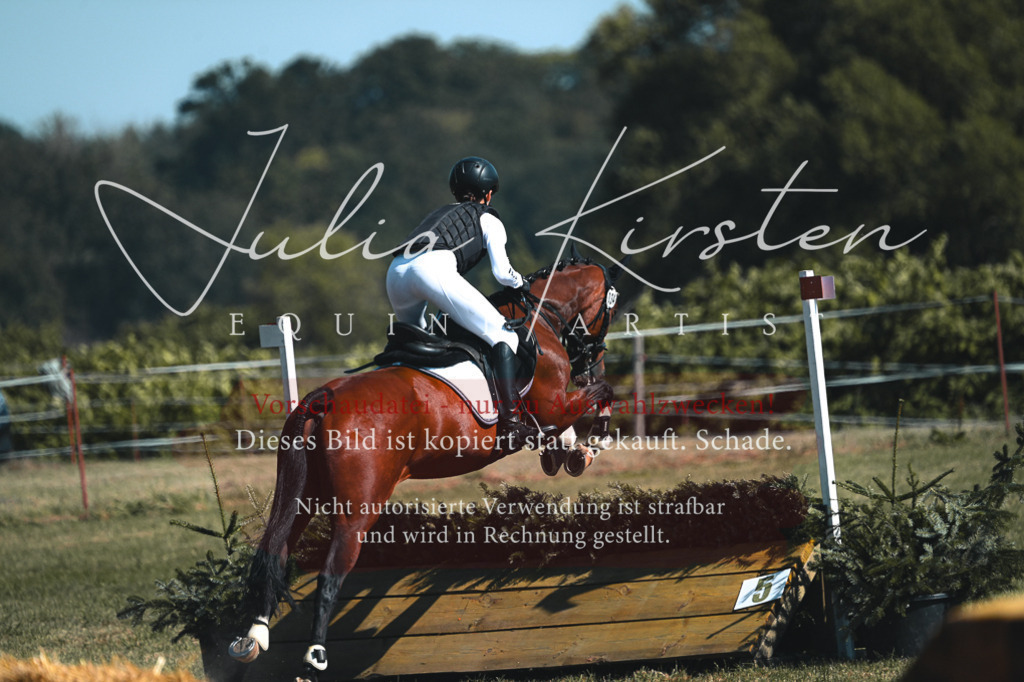 DSC_8264 | Pferde- und Turnierfotografie in Westsachsen. Pferdeportraits, Auftragszeichnungen und intuitive Kunst.