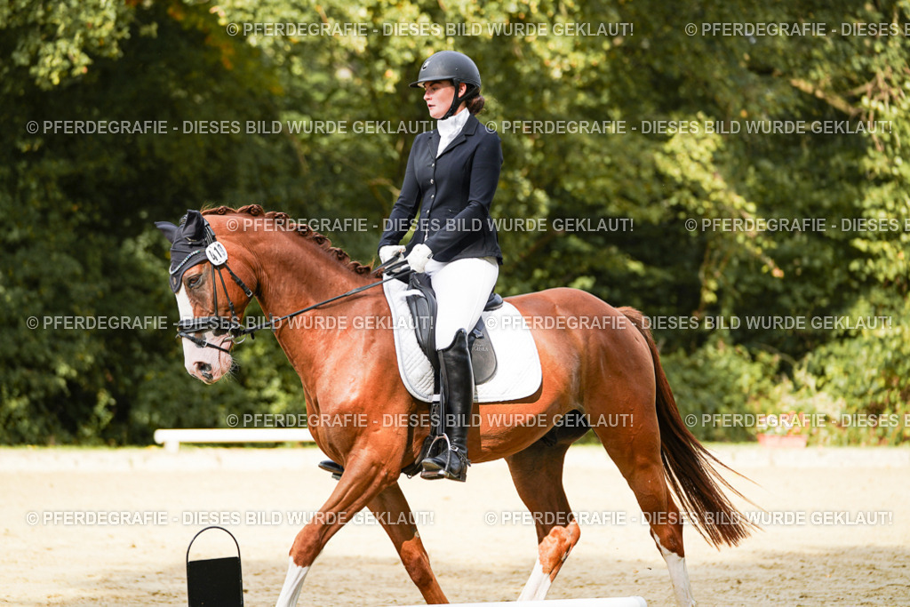 DSC02980 | Pferdegrafie