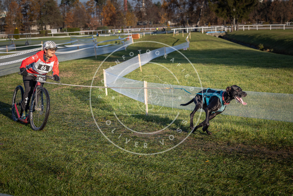 CaniXpix_0L8A3809 | Hundefotografie, Tierfotograf, Pfotenfotografie, Fotoshooting Hund, Hunde Portrait, Hundesport, Hundeportraits, Heideshooting, Hunde, Sportfotograf, Hundefotograf, Turnierhundsport, THS,  - Realisiert mit Pictrs.com