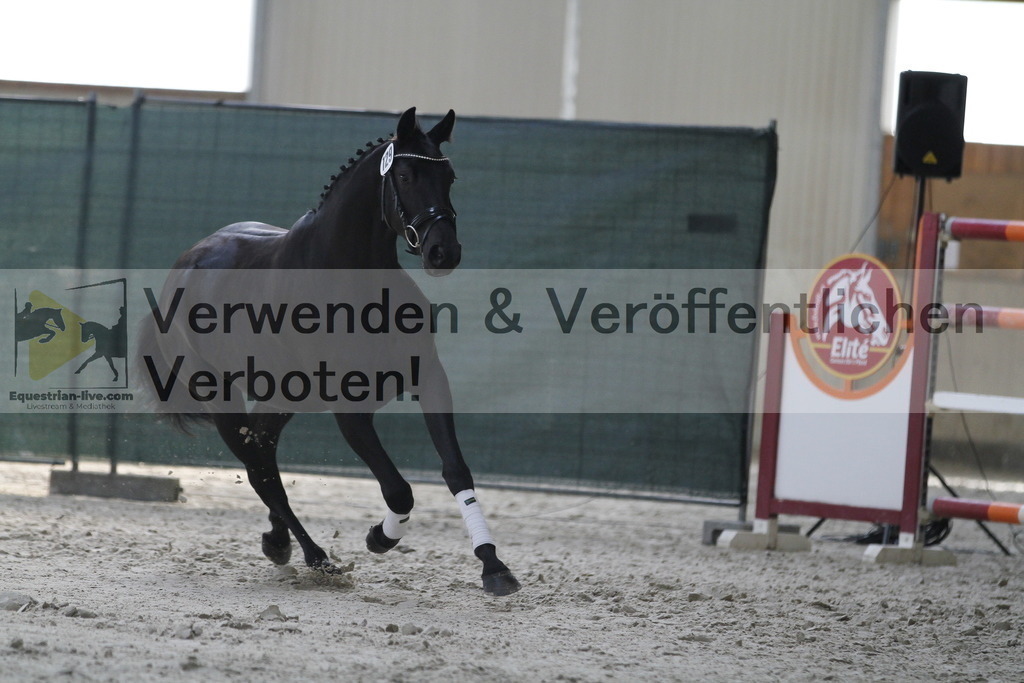 _MG_9834 | equestrian-live-com