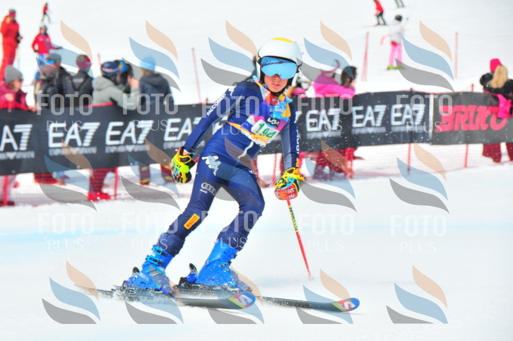 DSC_1778 | holidayphoto