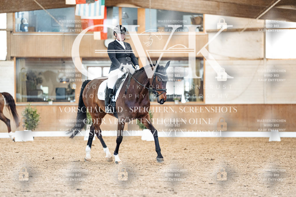 CK909388 | Turnierfotografie Pferdefotografie Trier Rheinland-Pfalz Pferdesport Reitsport Tierfotografie Sportfotografie Pferdevideo Pferdevideografie Equestrianvideography equestrianphotography  - Realisiert mit Pictrs.com