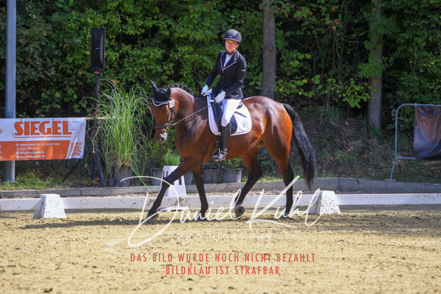 DKP41935 | Turniersportfotografie; Pferdefotografie; Dressurfotografie