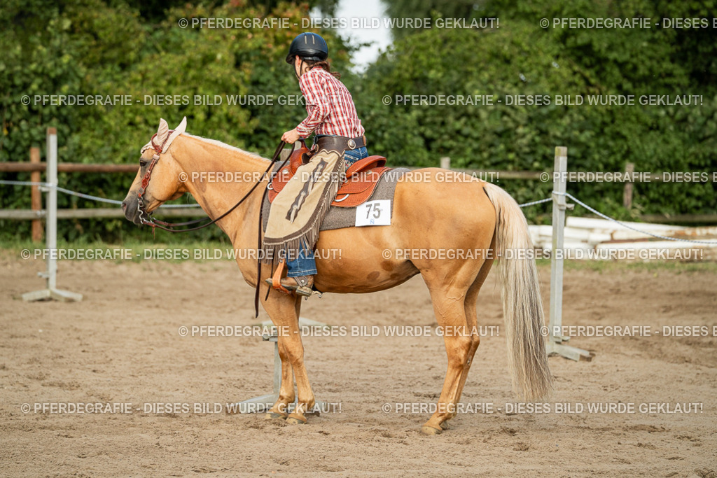 DSC06076 | Pferdegrafie