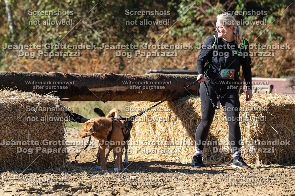 Dog Paparazzi - Strongdog 10-25-2673 | Dog Paparazzi Jeanette Grottendiek Fotografie & Videografie - Realisiert mit Pictrs.com