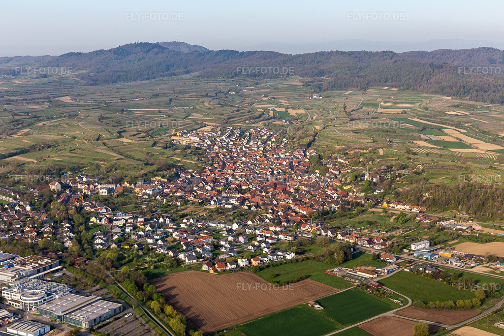 Luftbild: Weinbergs- Landschaft der Winzer- Gebiete in Bahlingen im Kaiserstuhl in Bahlingen am Kaiserstuhl im Bundesland Baden-Württemberg in Deutschland. Foto: IMG_126683.jpg vom 25.04.2021 durch Werner Riehm/FLY-FOTO.de
