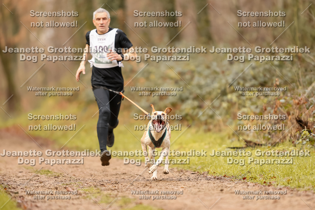 Dog Paparazzi - Speedhunter Mannheim  2025-311 | Dog Paparazzi Jeanette Grottendiek Fotografie & Videografie