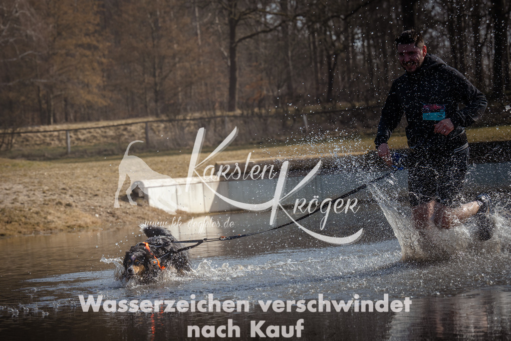 1137_ZZ95266 | kk-dogfotos