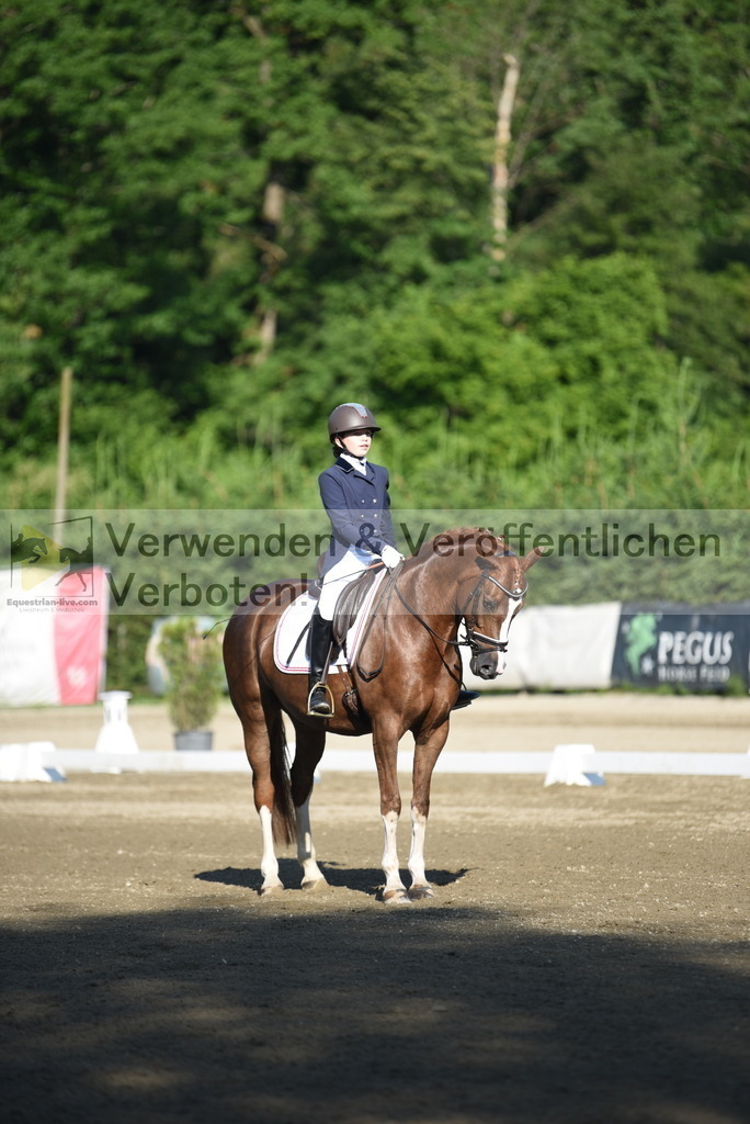 DSC_6799 | equestrian-live-com