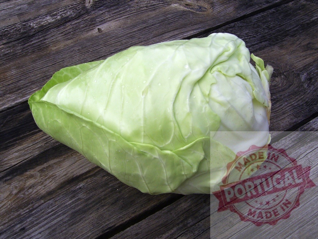 Fresh pointed cabbage resting on rustic wood | Fresh pointed cabbage head with green leaves on a weathered wooden background - Realized with Pictrs.com
