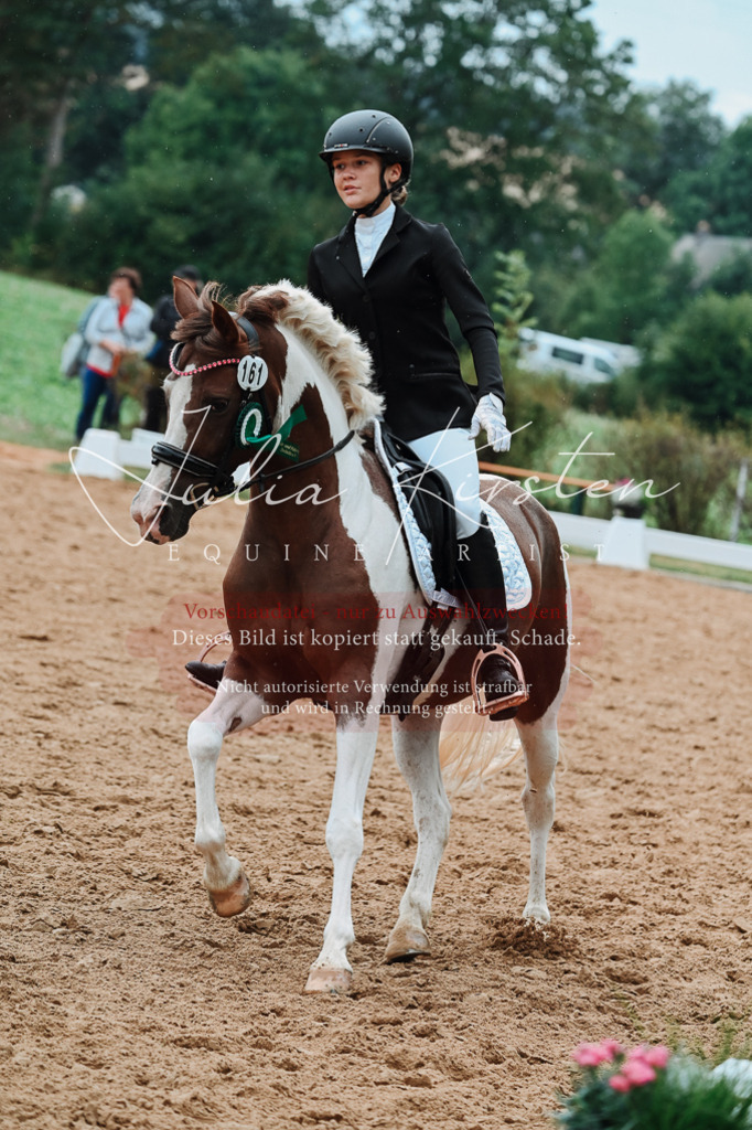 DSC_7303 | Pferde- und Turnierfotografie in Westsachsen. Pferdeportraits, Auftragszeichnungen und intuitive Kunst.