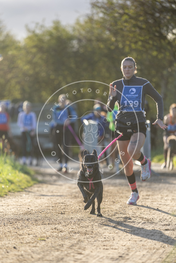 Pfotenfotografie.de_DV3A2861 | Hundefotografie, Tierfotograf, Pfotenfotografie, Fotoshooting Hund, Hunde Portrait, Hundesport, Hundeportraits, Heideshooting, Hunde, Sportfotograf, Hundefotograf, Turnierhundsport, THS, canicross - Realisiert mit Pictrs.com