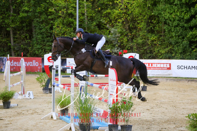 IMG_6221 | Turniersportfotografie; Pferdefotografie; Dressurfotografie