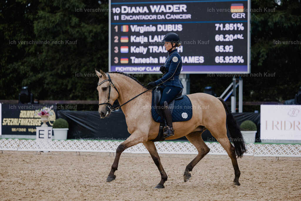 Diana11_FHC2025-25031 | working equitationturnier fotograf videograf stoibphotography marixx film working equitation deutschland reitsport turnierfotografie eventfotografie equestrian events